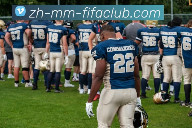 世界杯买球平台生态图