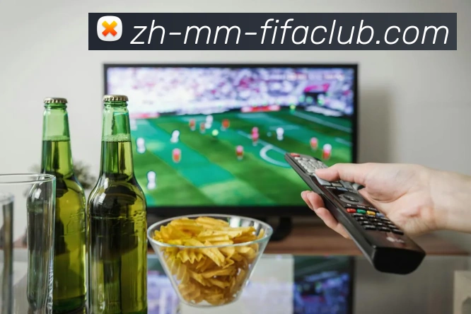 世界杯买球APP 封面图